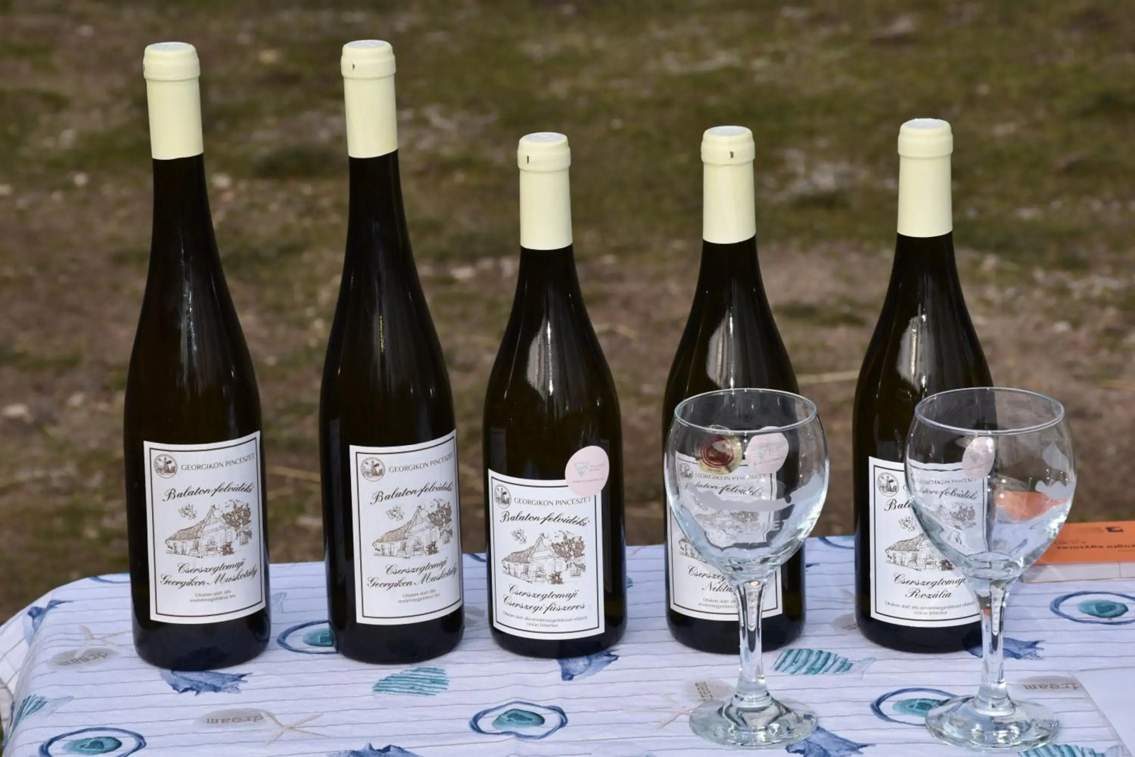Pilikán Apartments - Park - Vineyard & Sheep farm