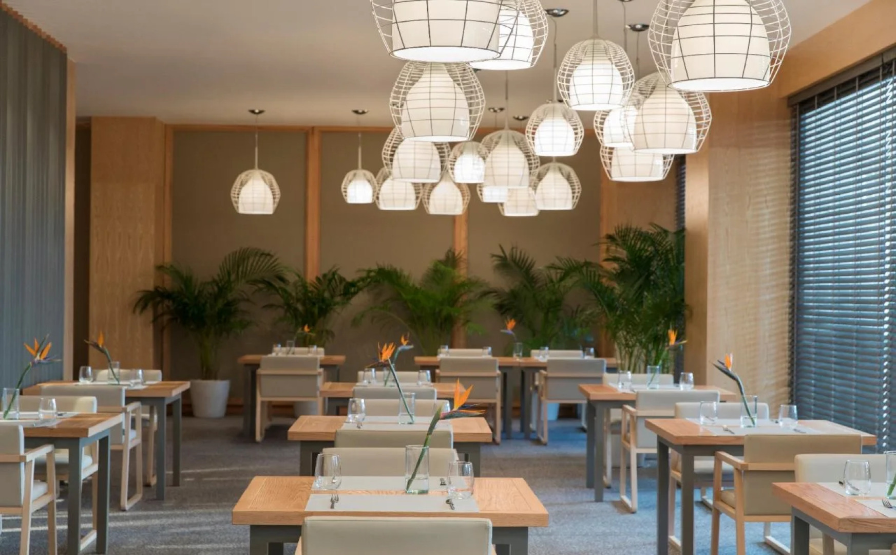 Beloved Playa Mujeres - Couples Only All Inclusive