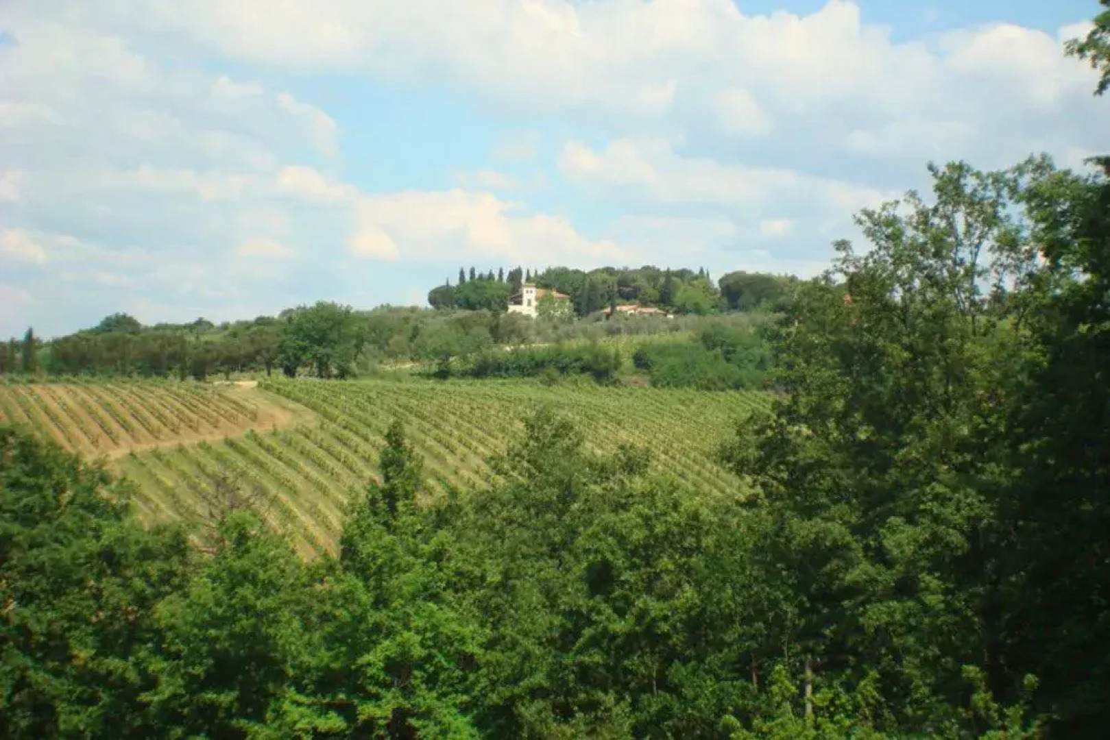 Tenuta San Vito