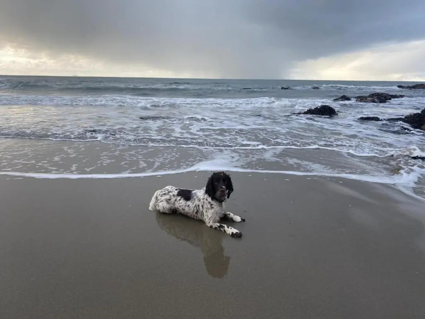 Cosy Annexe Sleeps 4