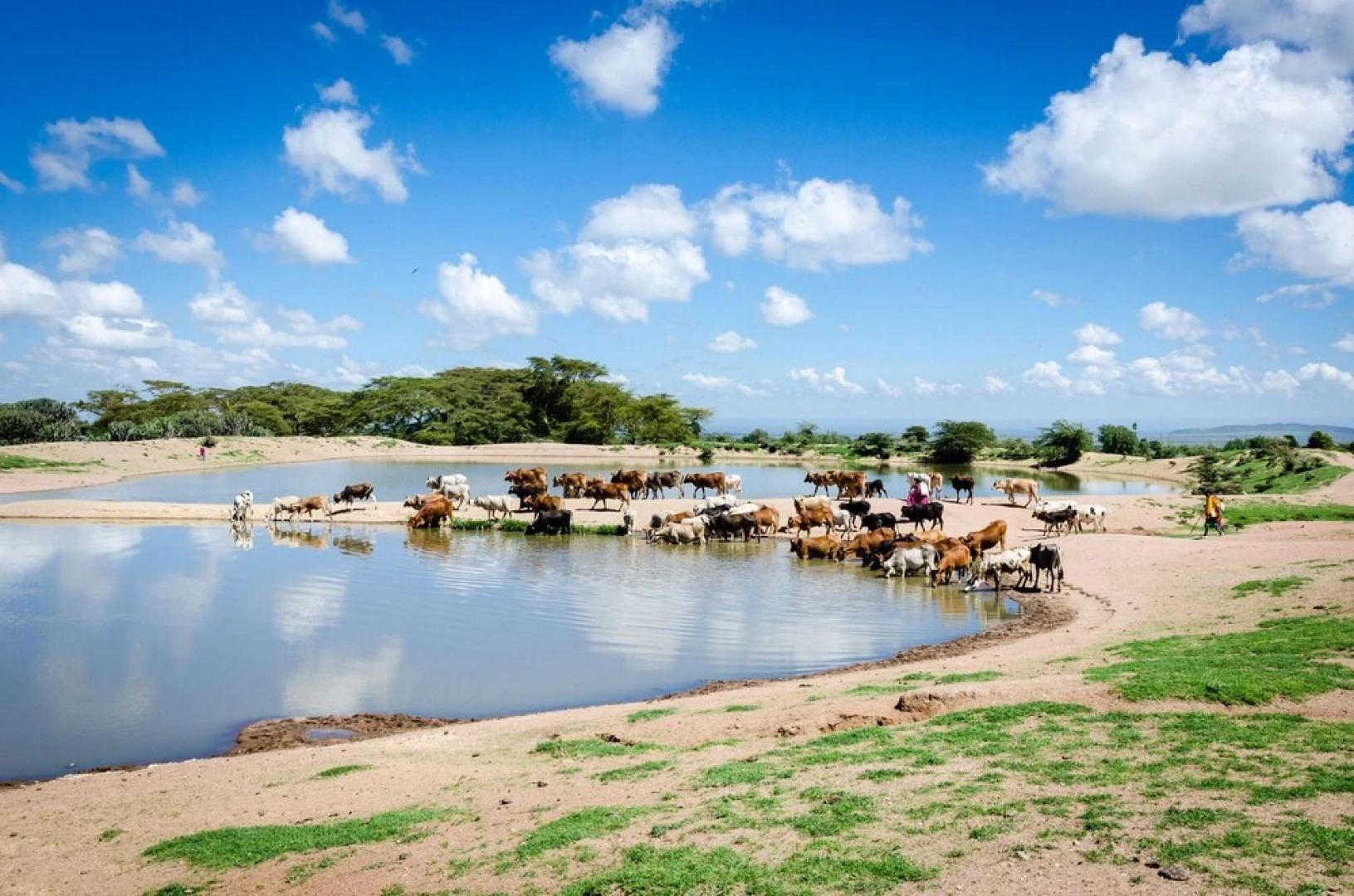 Maji Moto Maasai Cultural Camp