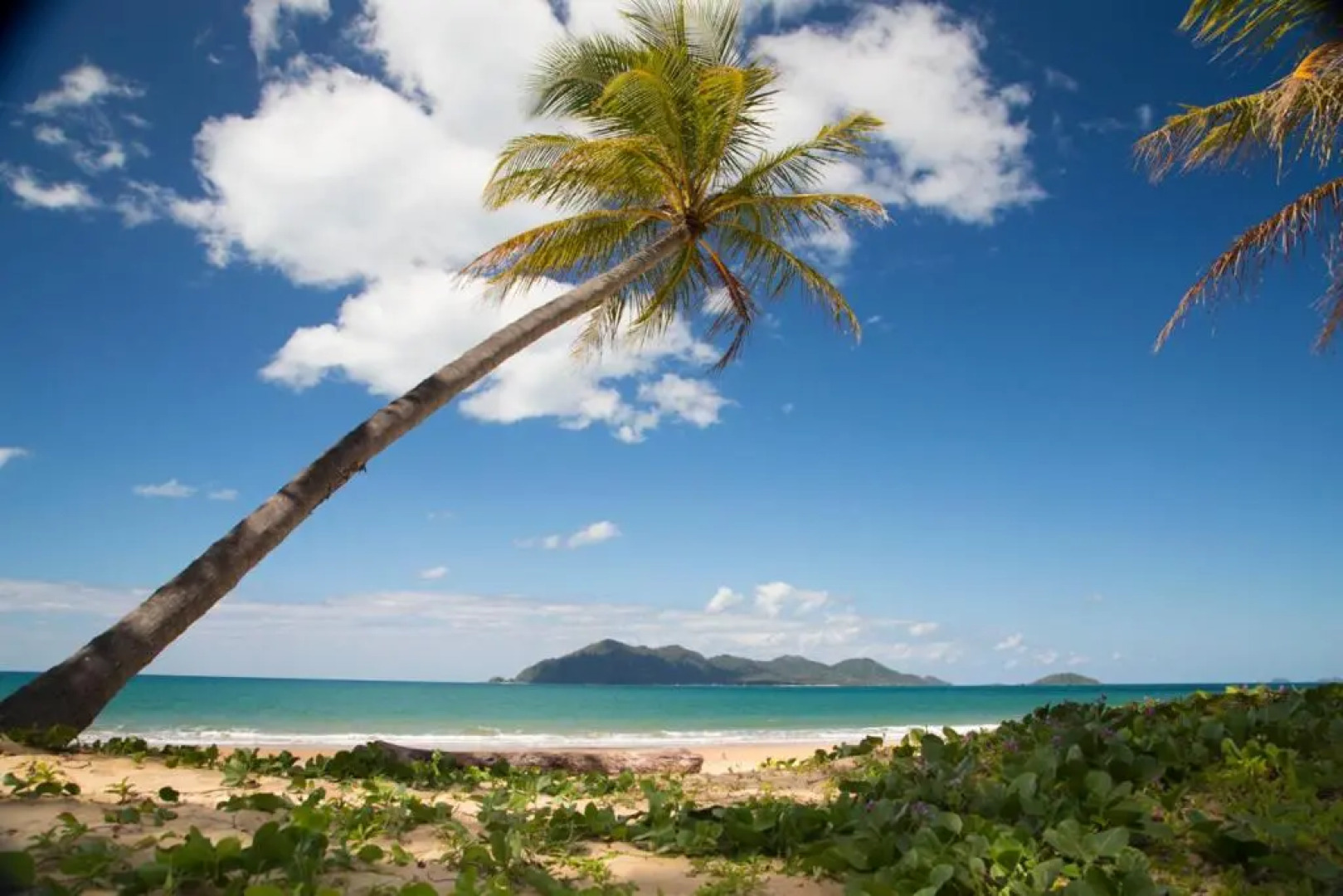 7 McNamara - Wongaling Beach