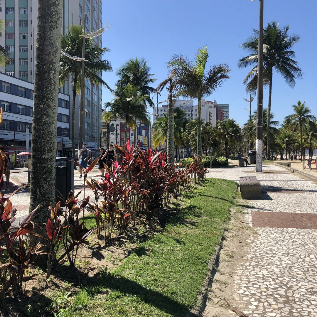 Temporada Praia Grande OCIAN