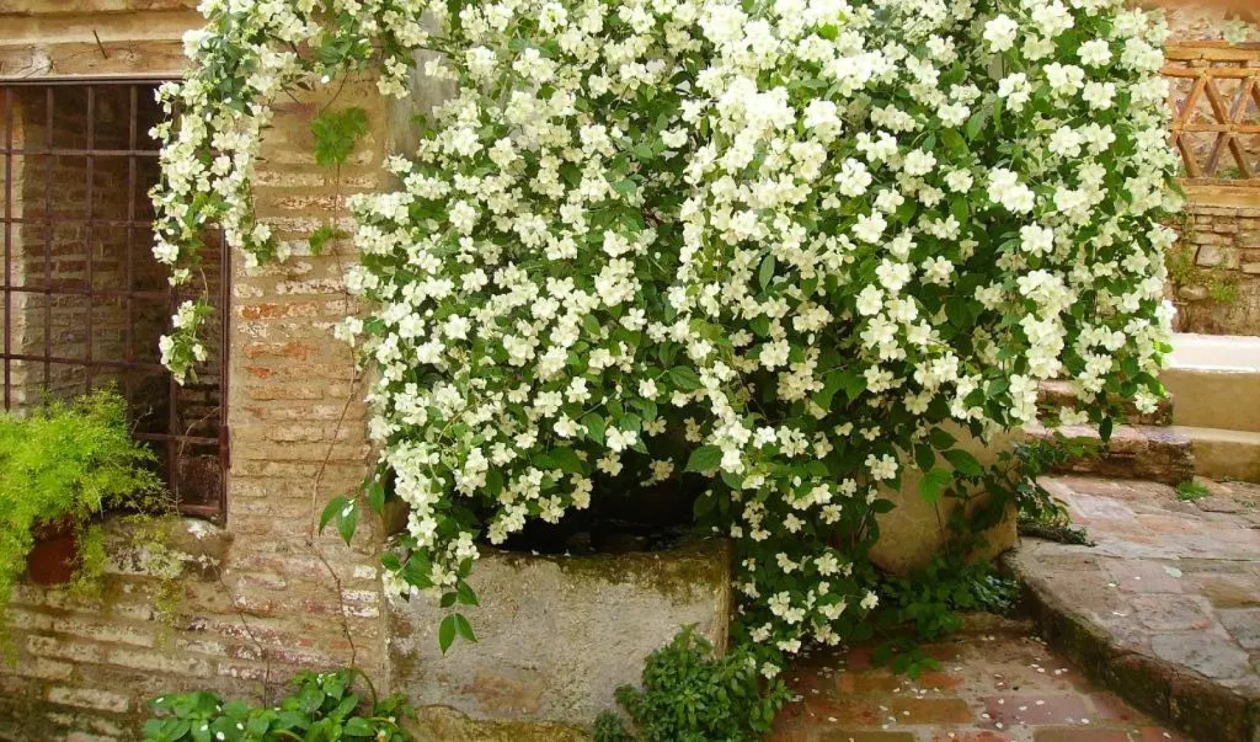 Hotel Boutique Condes Fúcares