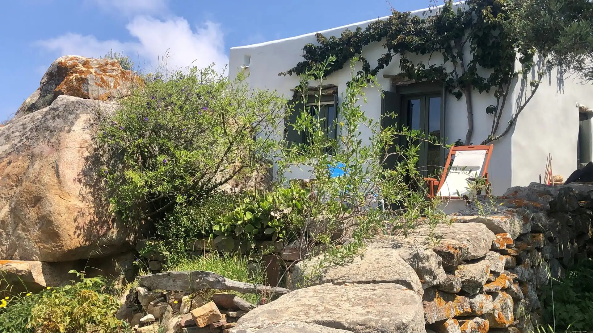 Under the Linden Tree Tinos