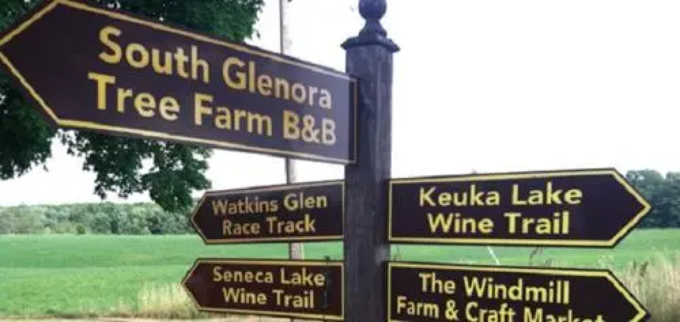 The South Glenora Tree Farm