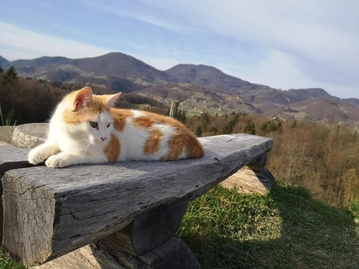 Tourist farm Marjanca