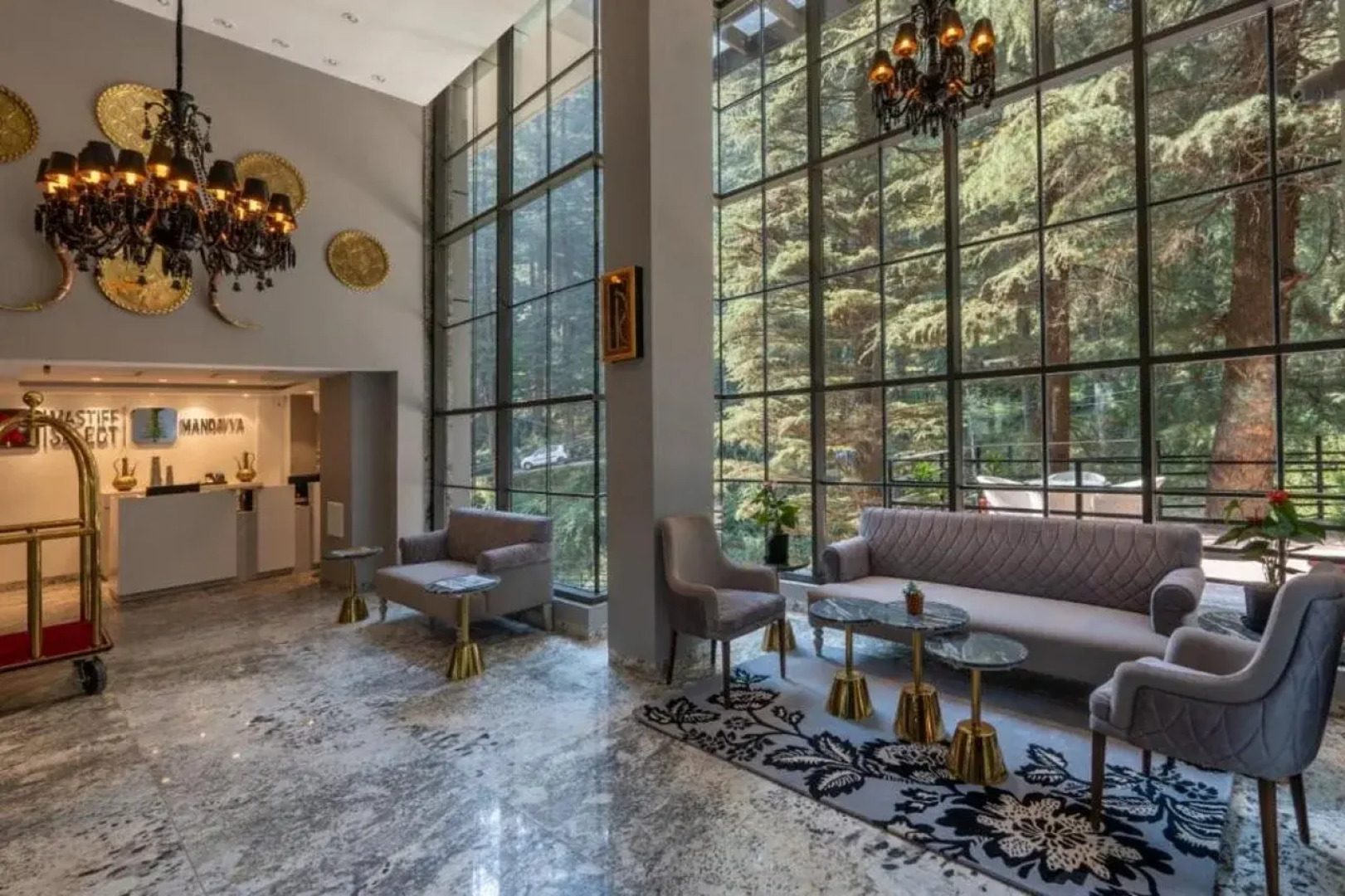 Mastiff Select Mandavya Dharamkot