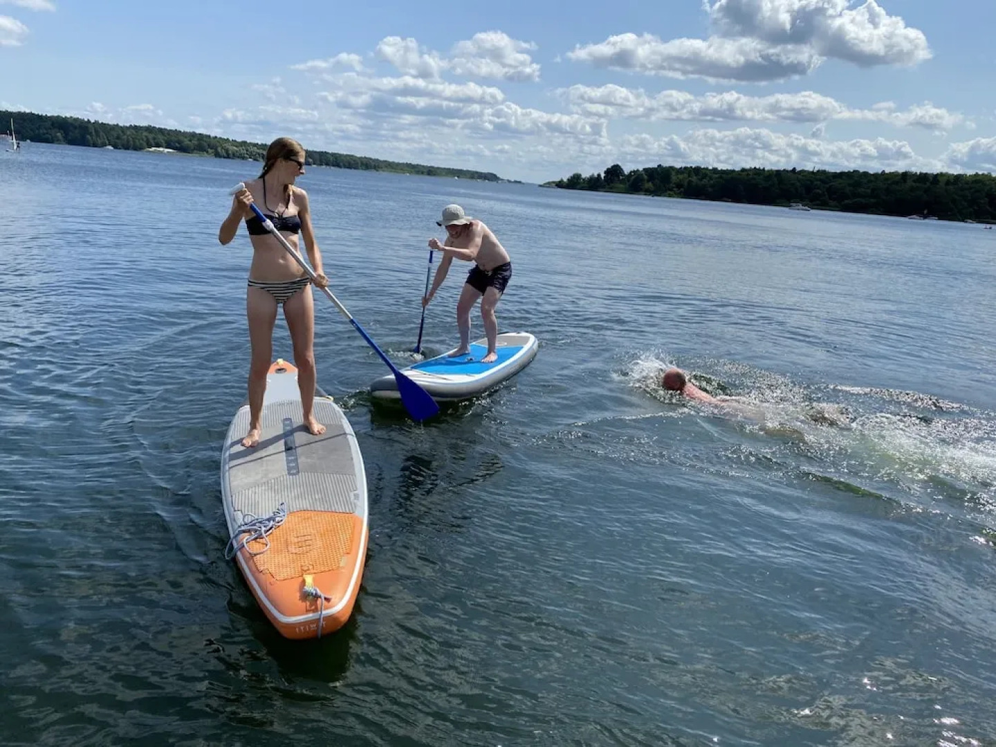 Hotel am Müritz-Nationalpark