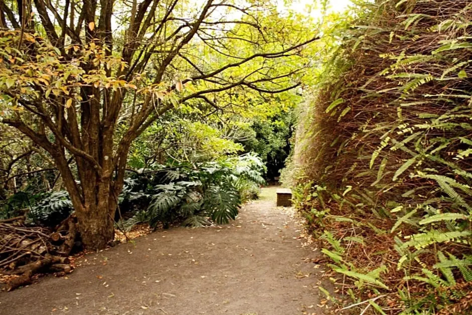 Bushbuck Lodge Southbroom