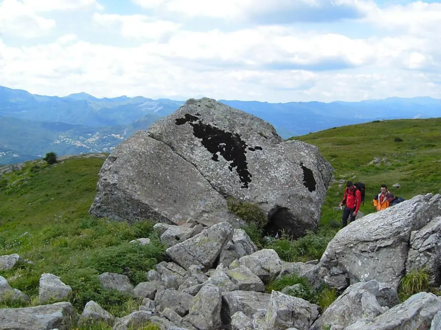 B&B il Bosco Appartamento