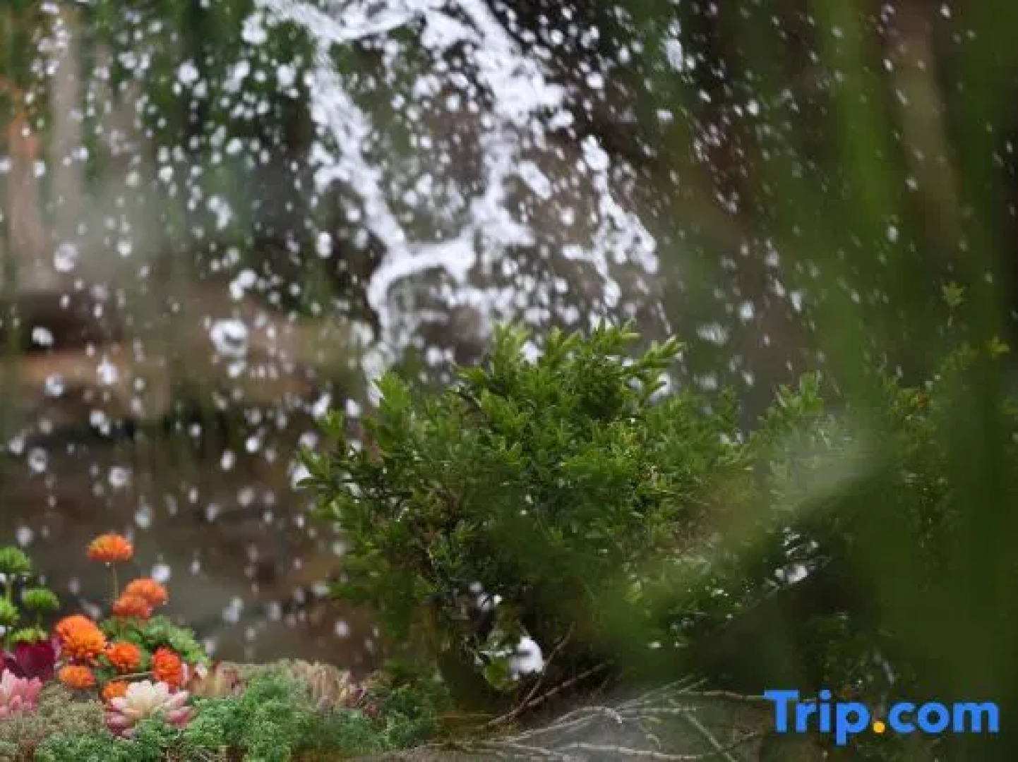 Puzhehei Yidu Homestay (Hehua Daguan Garden)