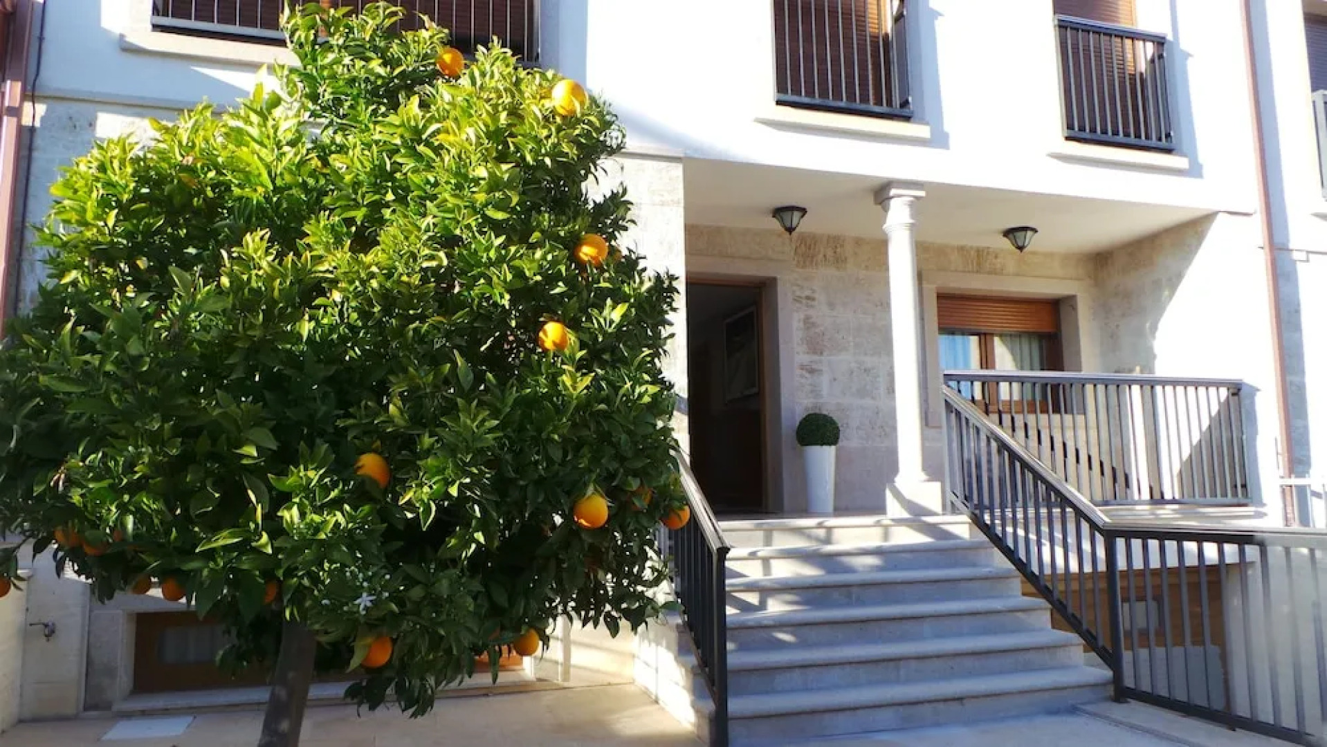 Orange Tree's House