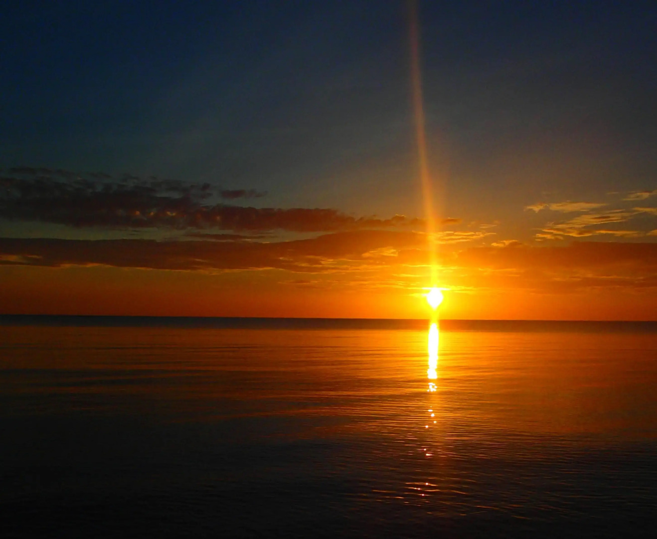 Margarita del Sol Costa Maya