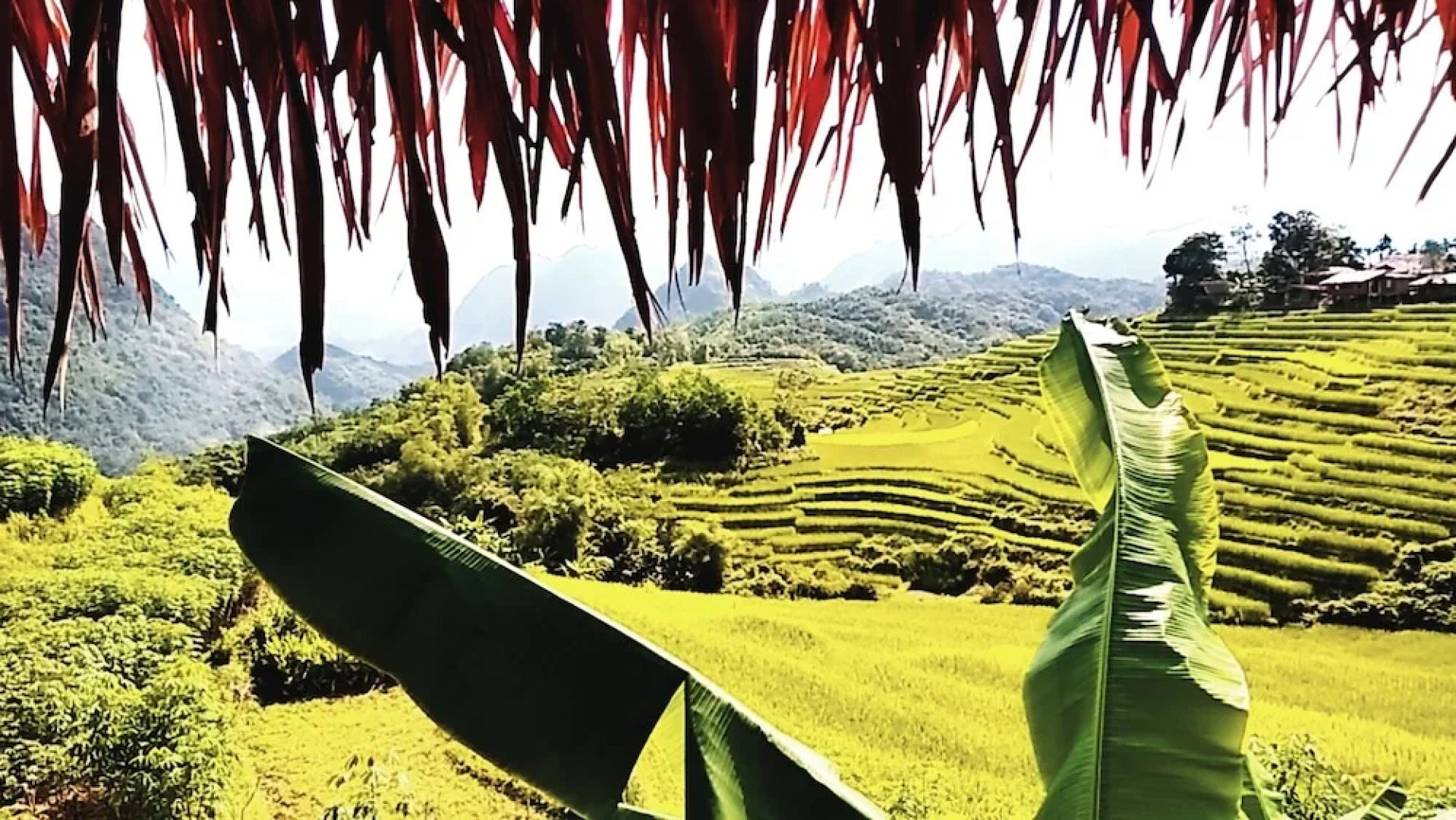 Resort Pù luông Boutique Garden