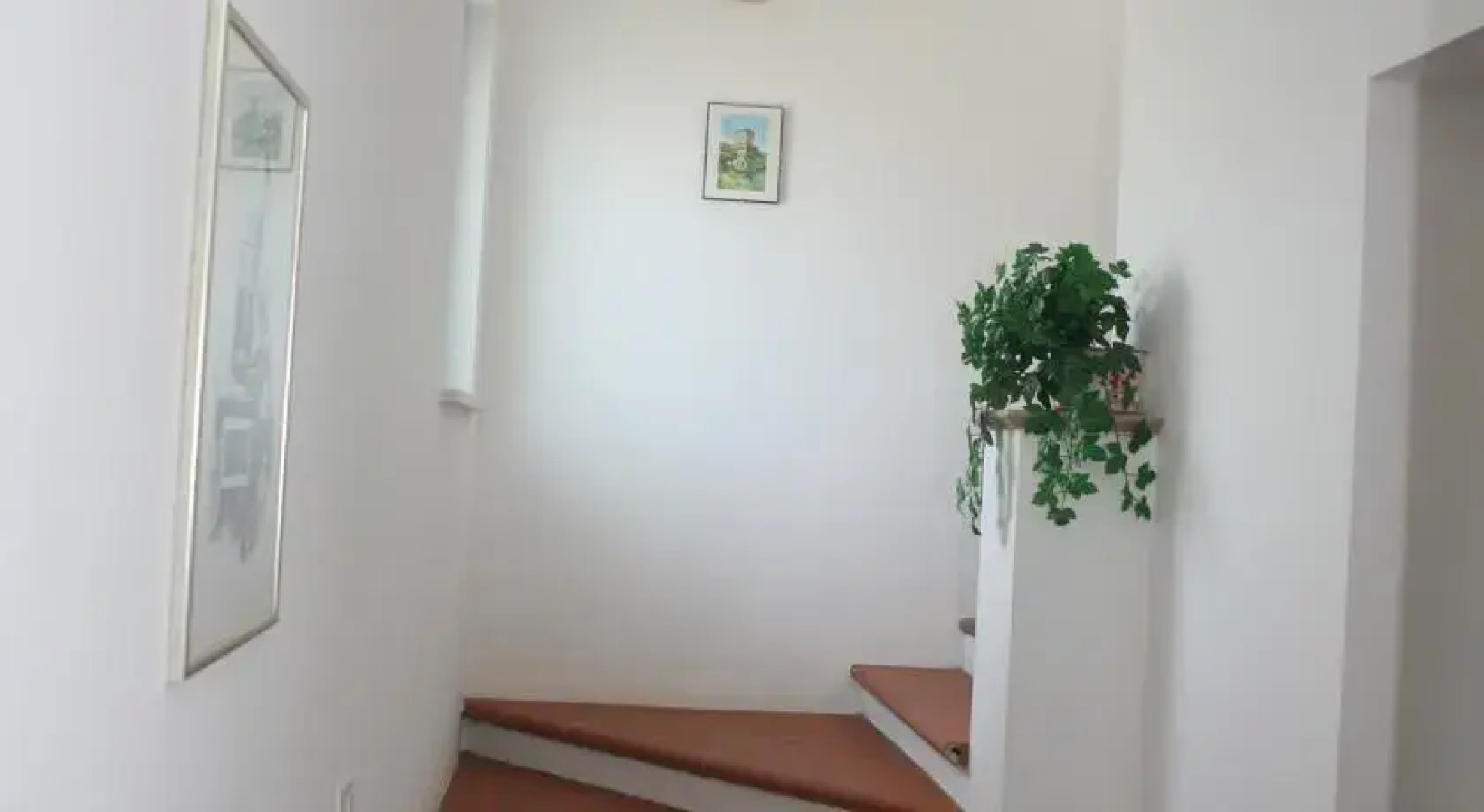 B&B La Collina Degli Ulivi