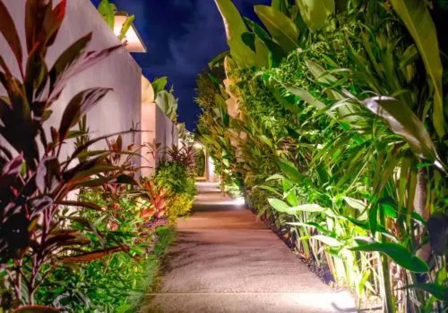 Canggu Green Paradise Bungalows