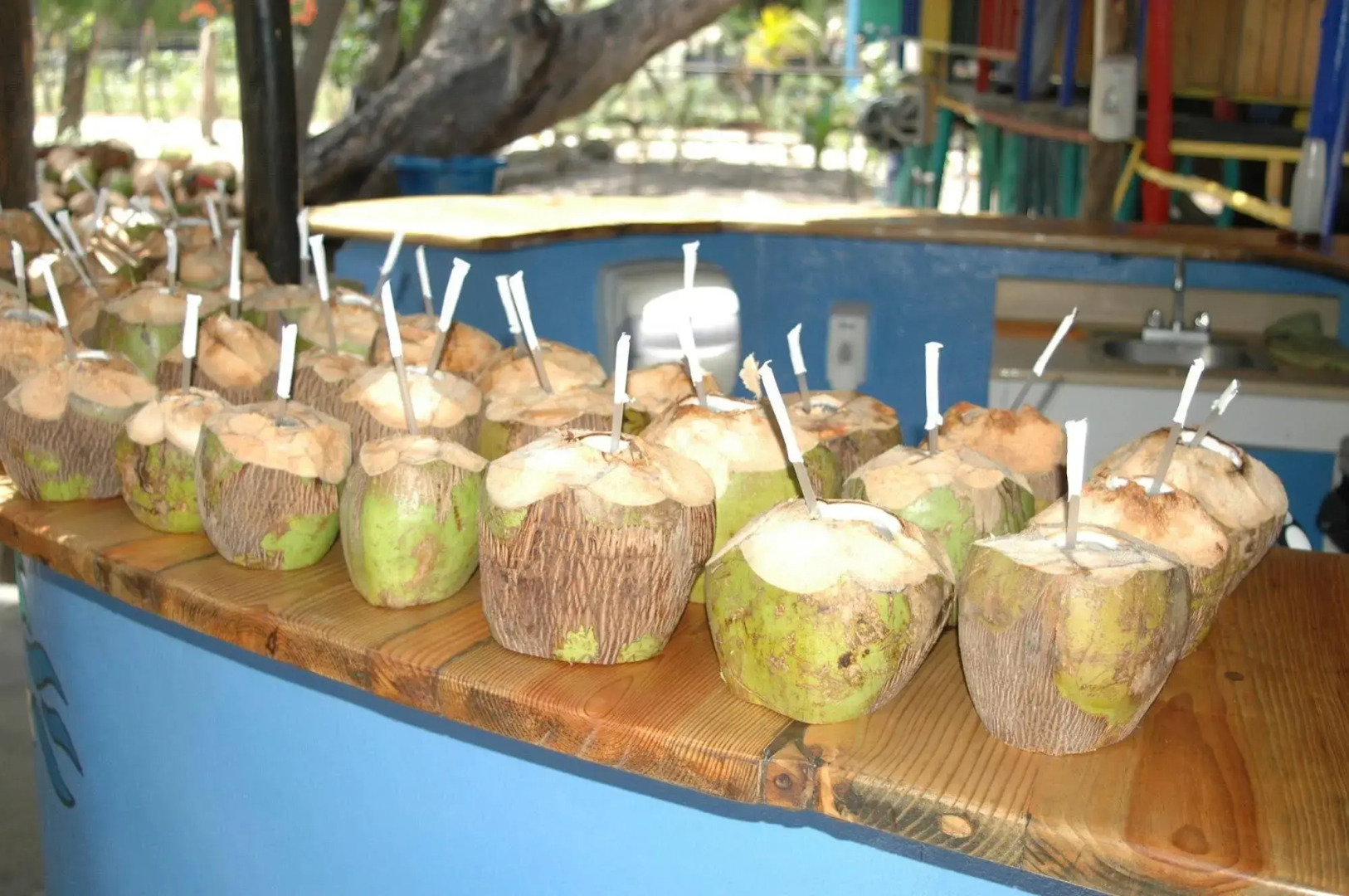 Paradise Island Beach Resort