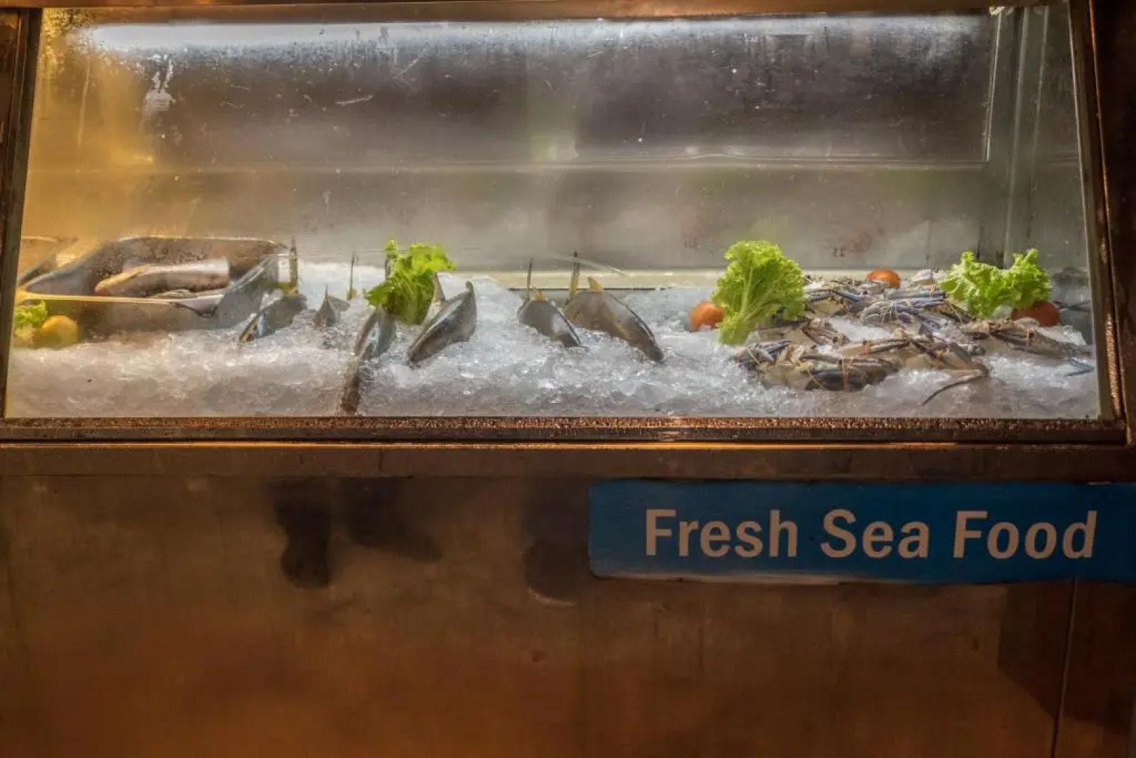 Sea View Fully Furnished 2BR Luxury Apartment