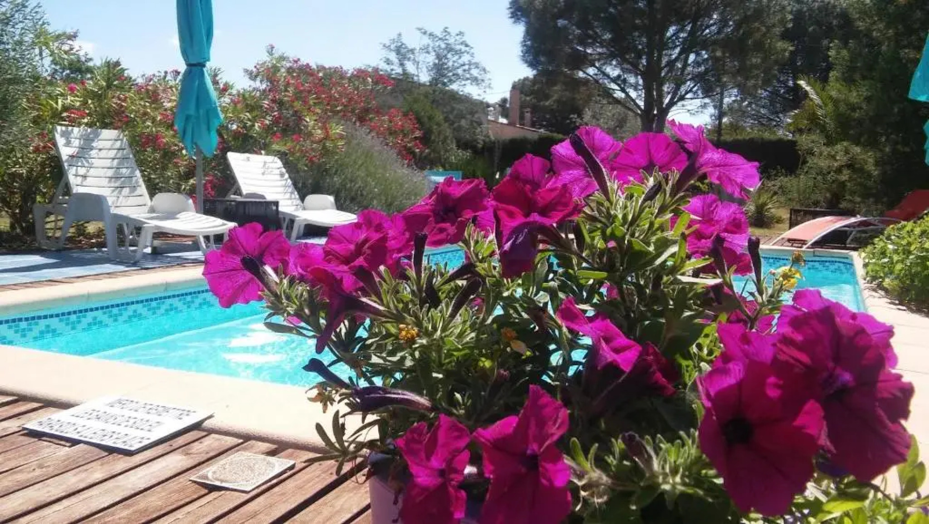 La Lucques Masabelle