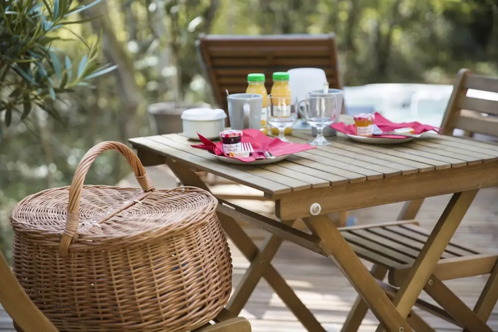 Chrysalide Saint Martin