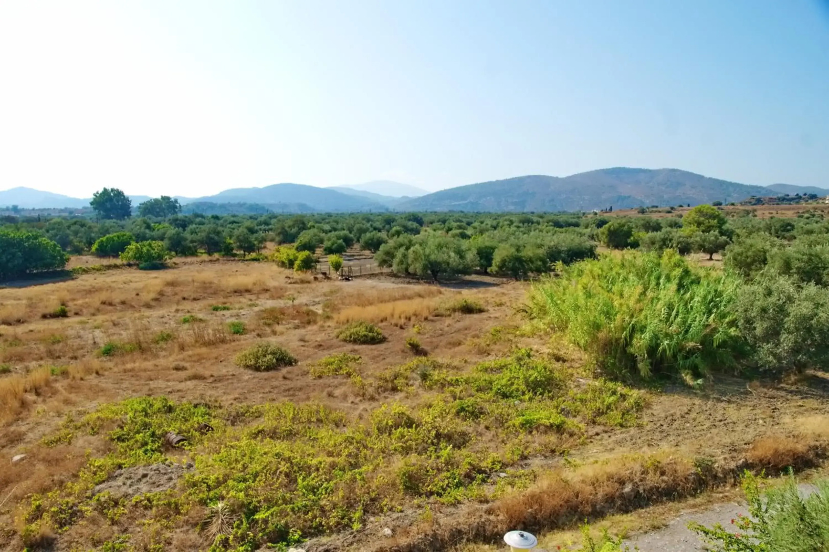 Pauls Garden Studios