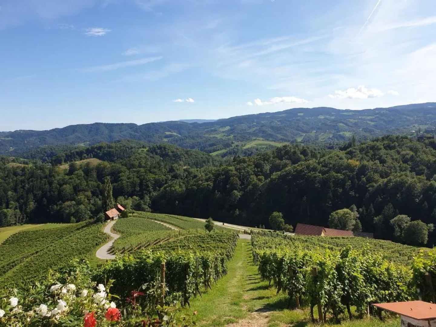 Ferienwohnungen Kres