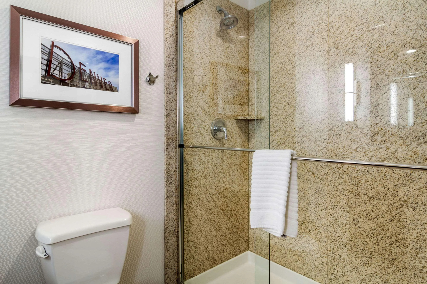 Comfort Inn & Suites Brighton Denver NE Medical Center