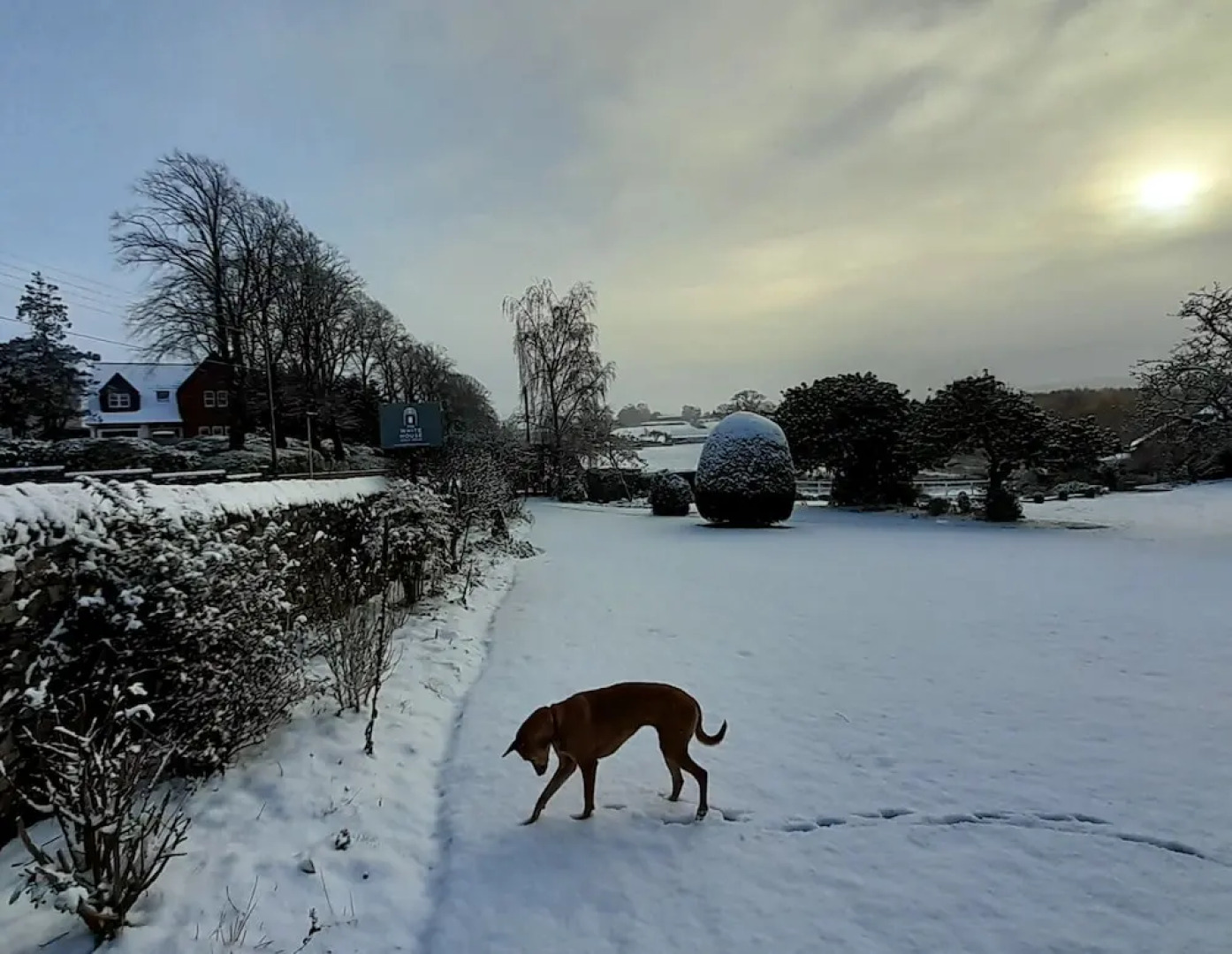 The White House Guest House