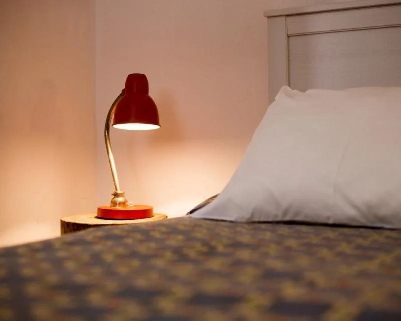 Uva do Monte - Blueberry Farm