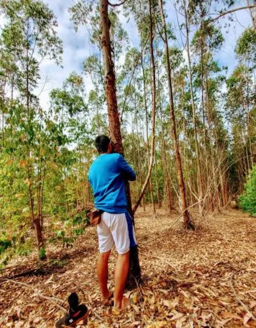 Hostal El Marquez Pavas