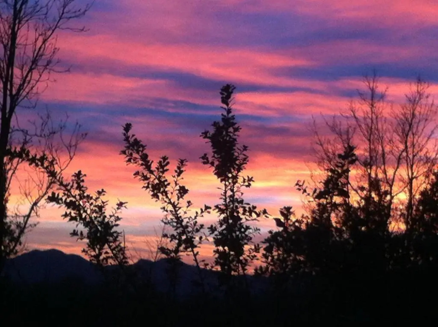 Agriturismo La Rocca di Perti