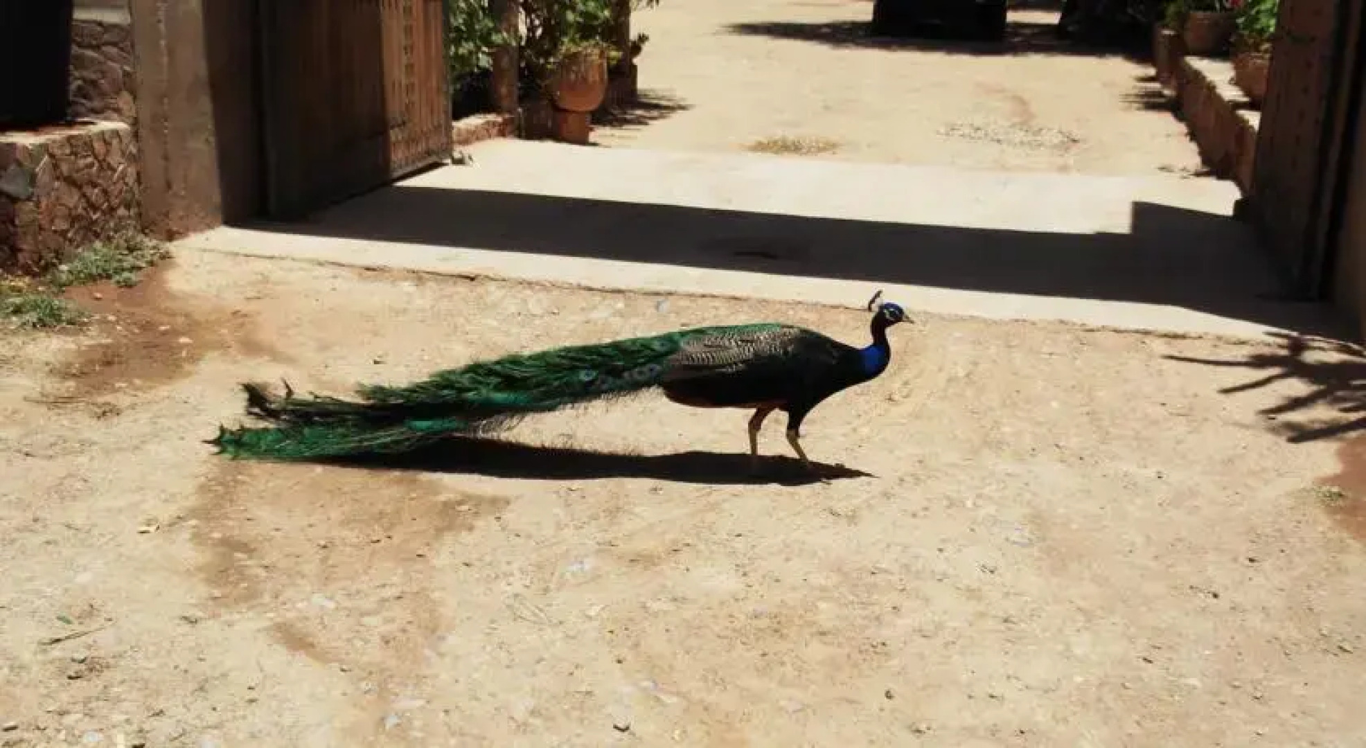 Camping Bivouac Le Zagmouzene