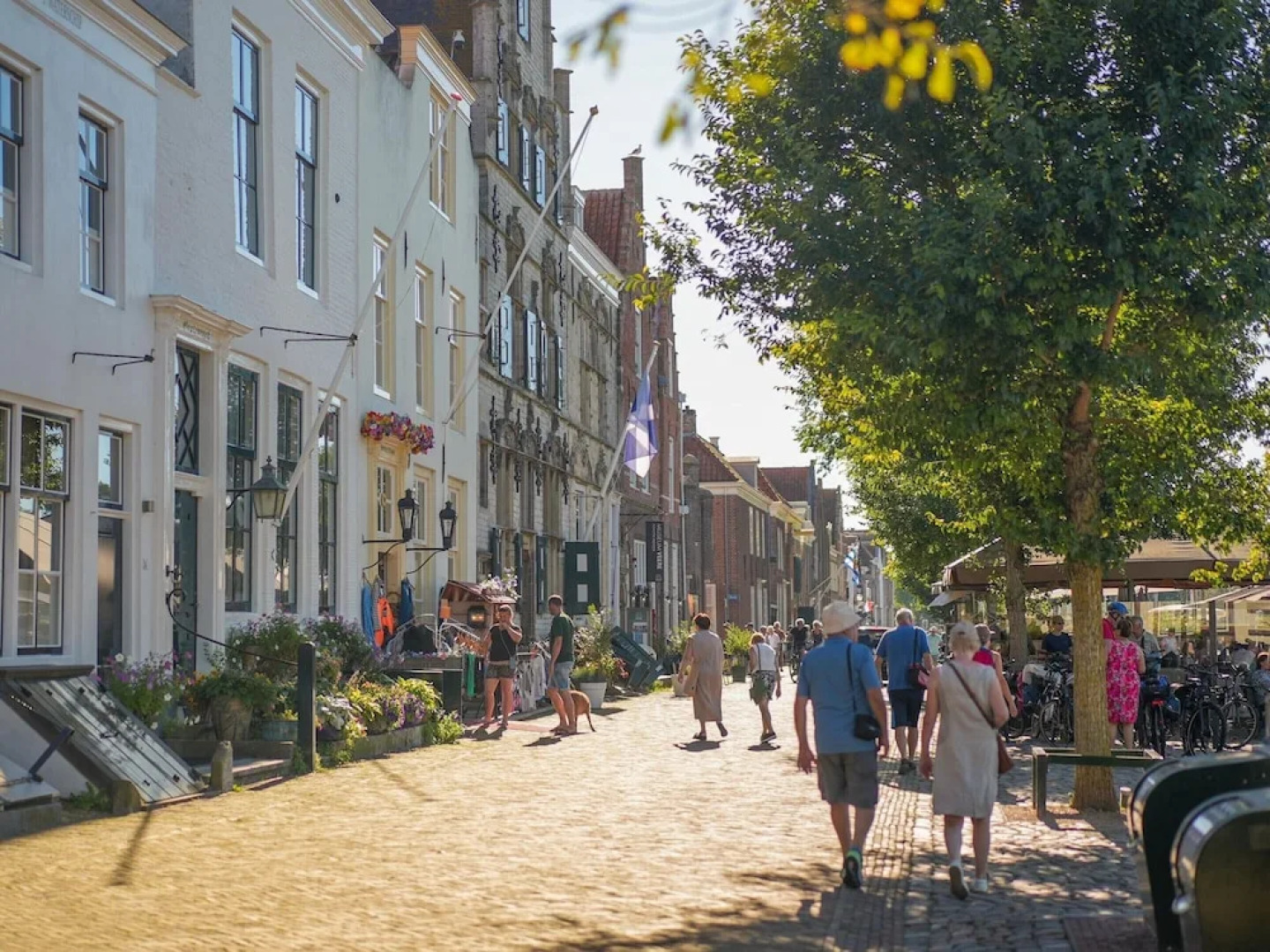 Luxury Villa Near Veerse Meer Resort