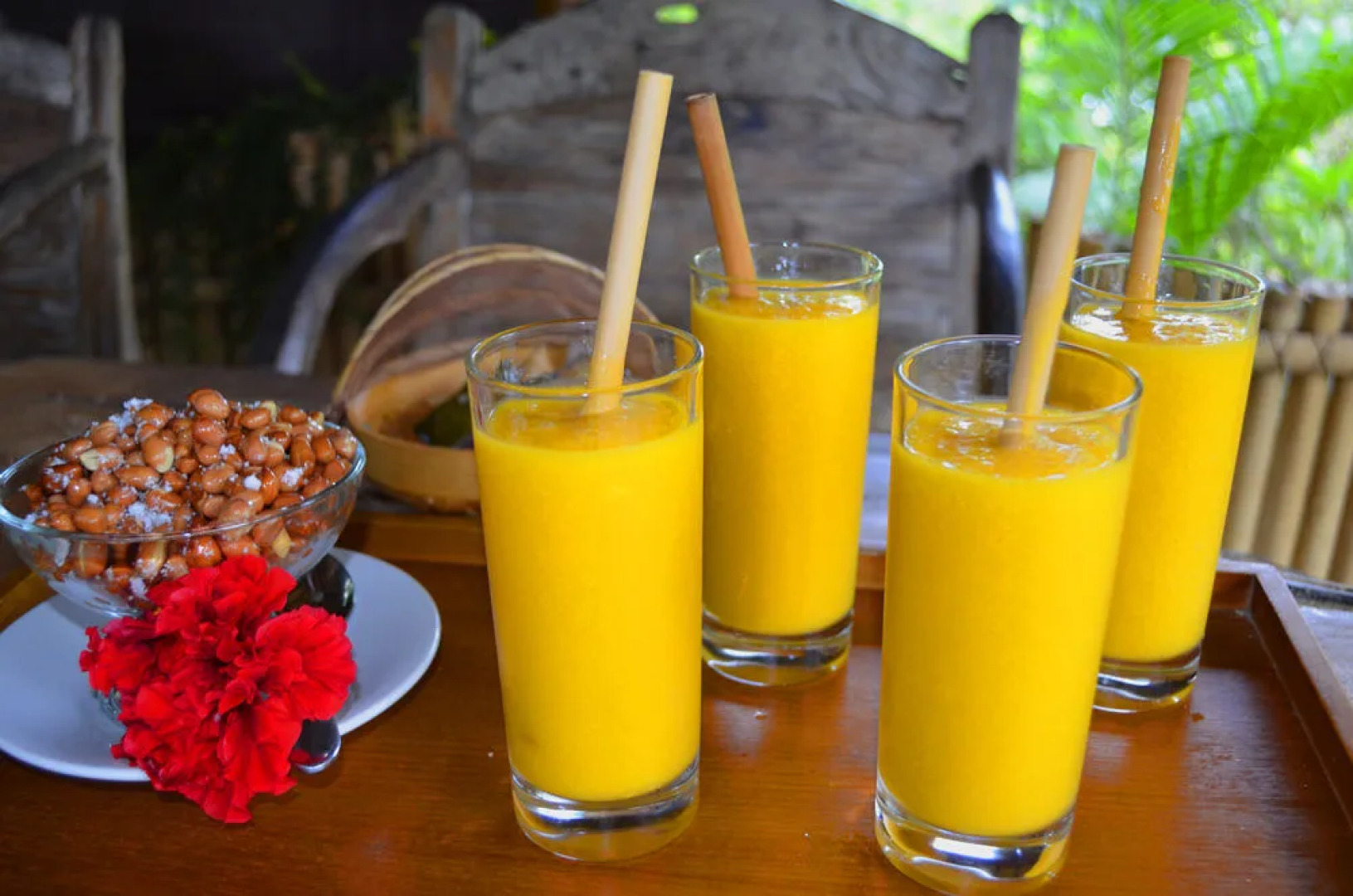 Indo Rumah Zengarden