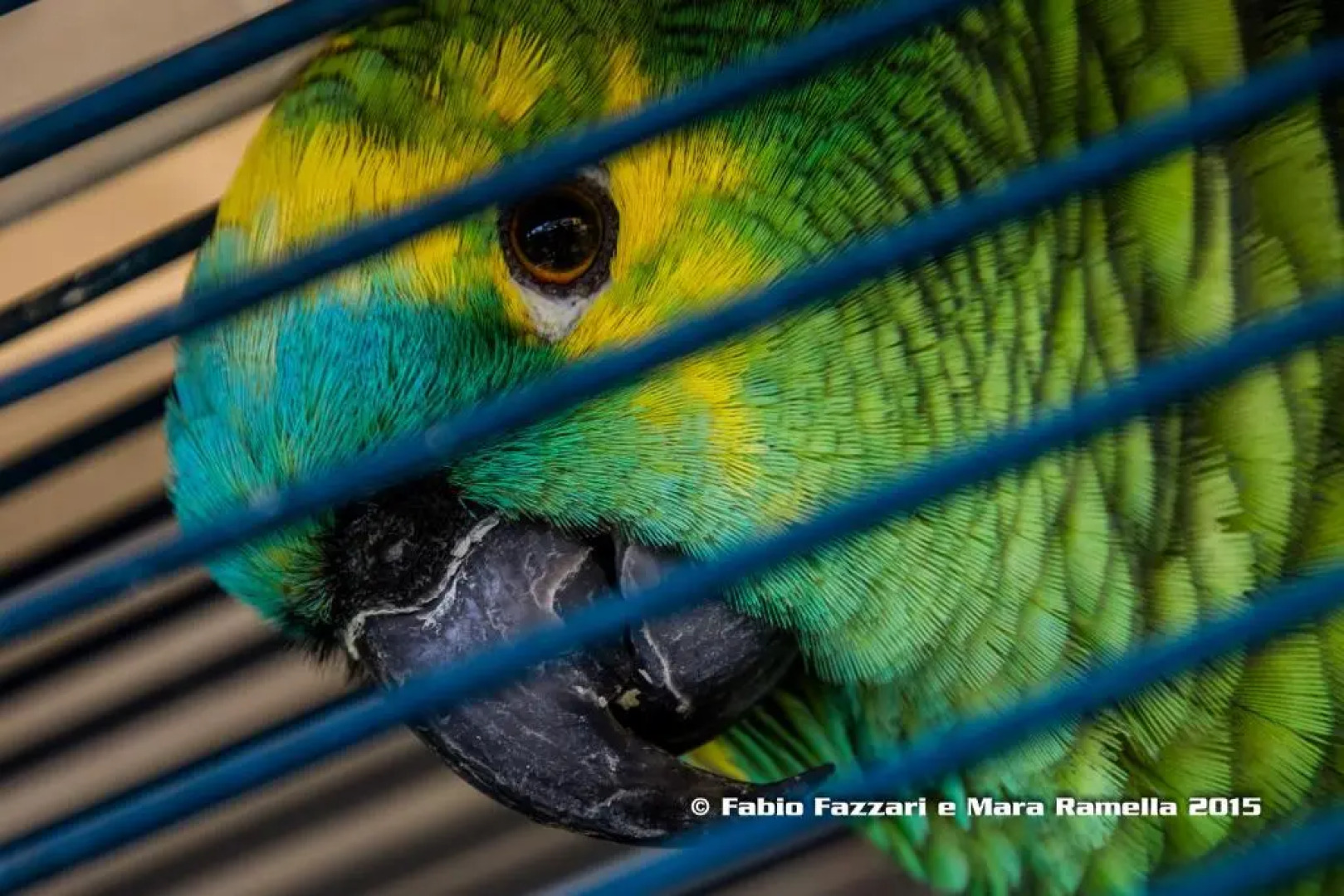 Agriturismo Campofelice