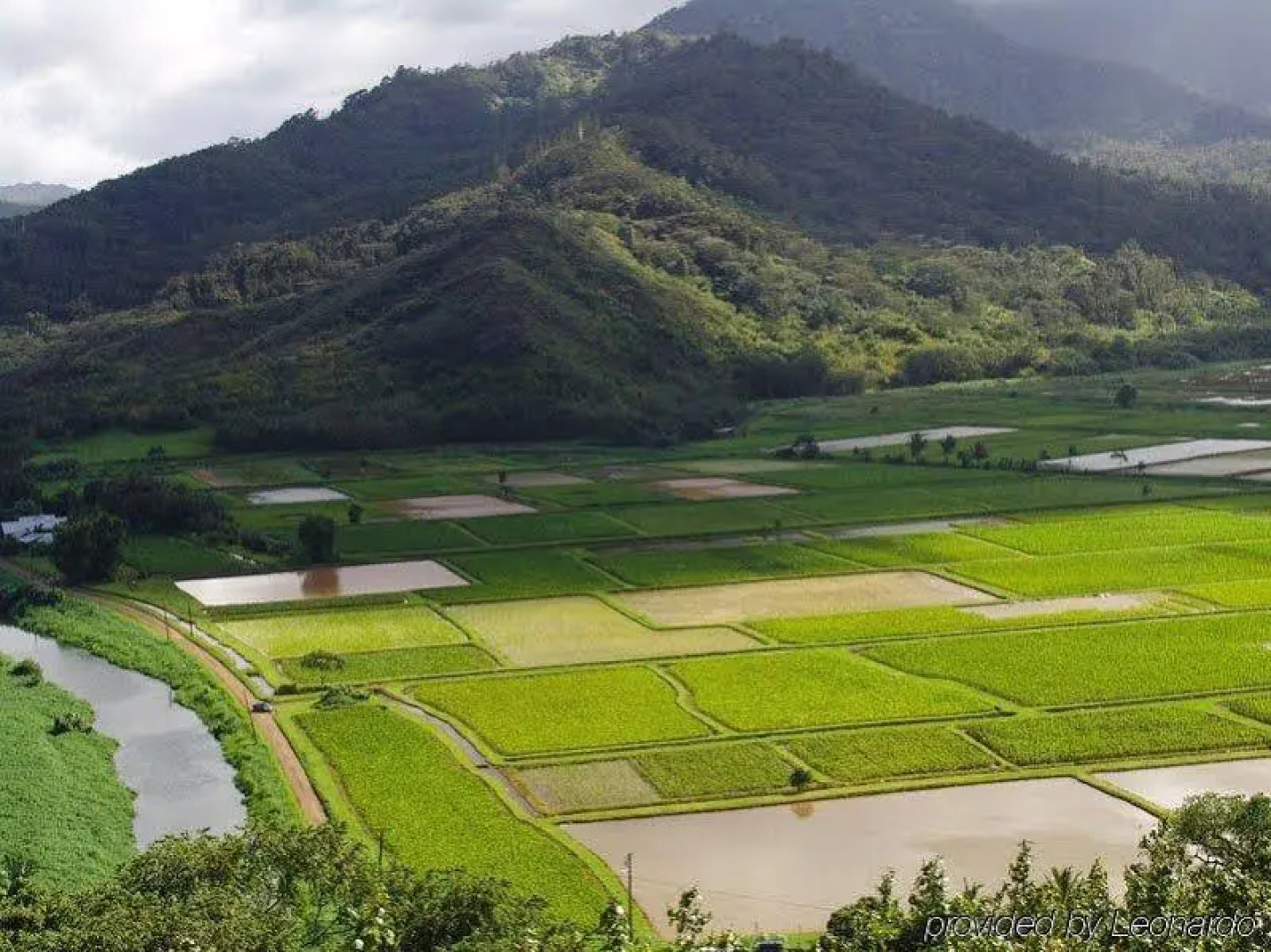 Kihei Alii Kai #A-305