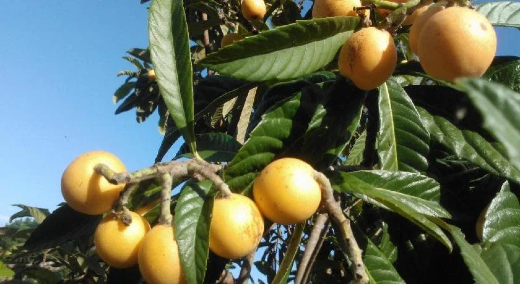 B&B Casale Valleverde