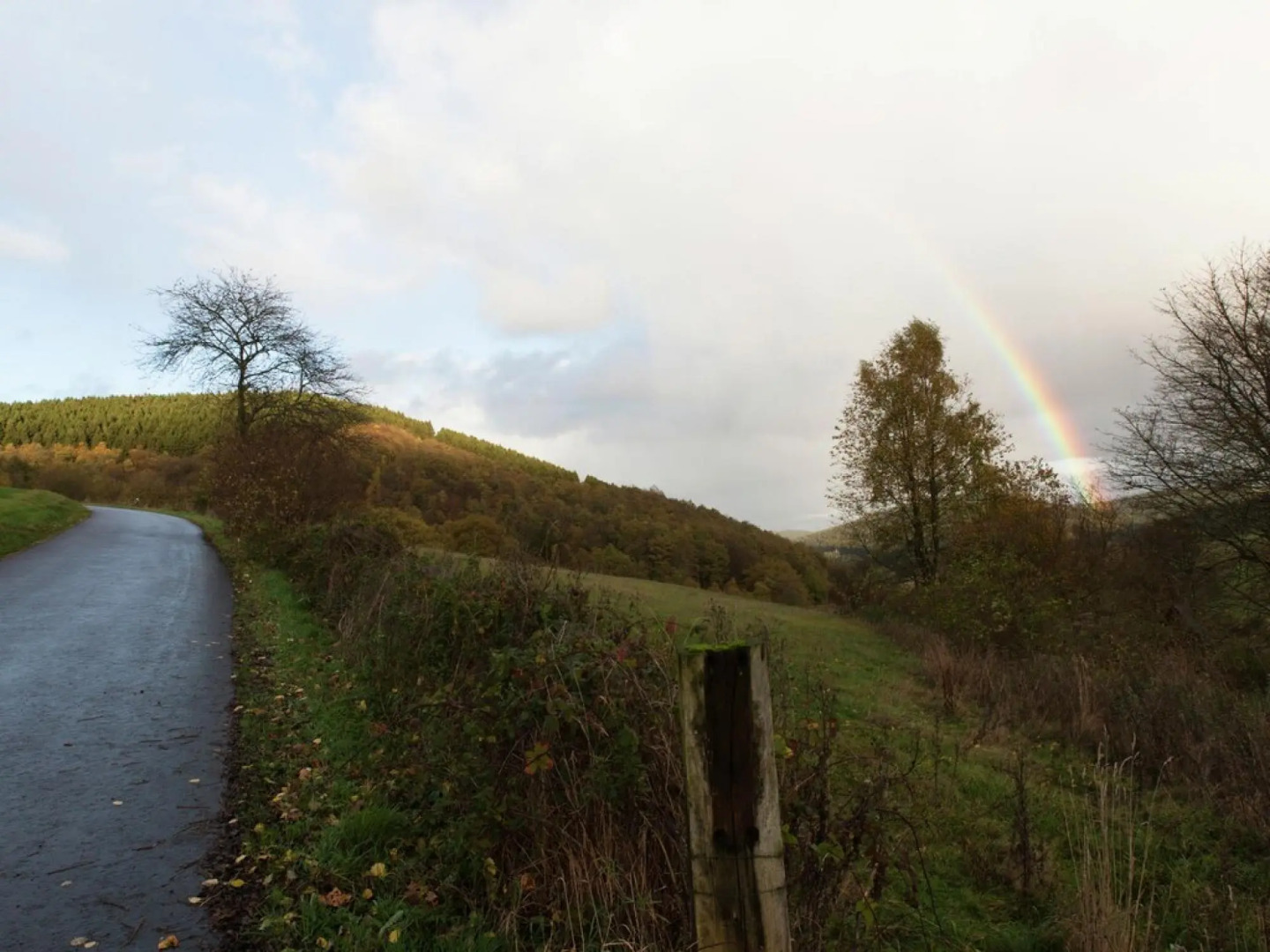 Apartment in Kirchhundem in the Middle of Nature