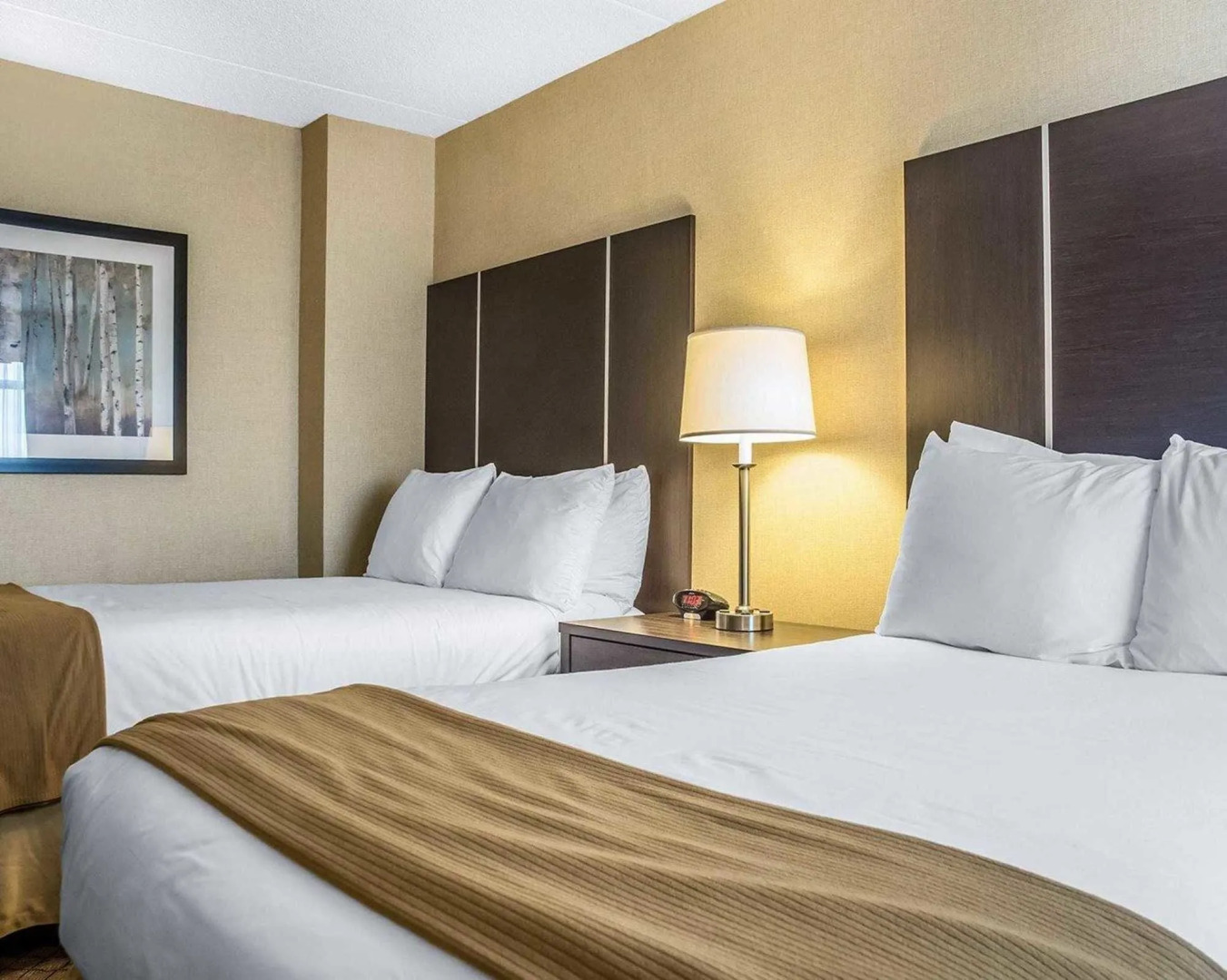 Four Points by Sheraton Hamilton - Stoney Creek