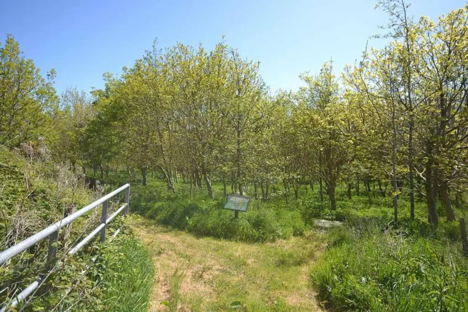 Hendy - Ground Floor Apartment