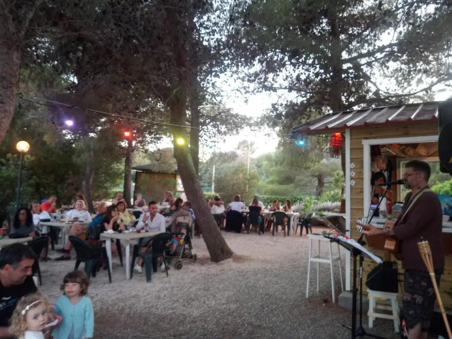 Jungle House - Pineta Is Morus