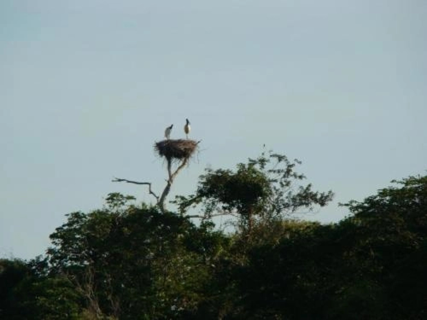 Hotel Recanto Do Dourado