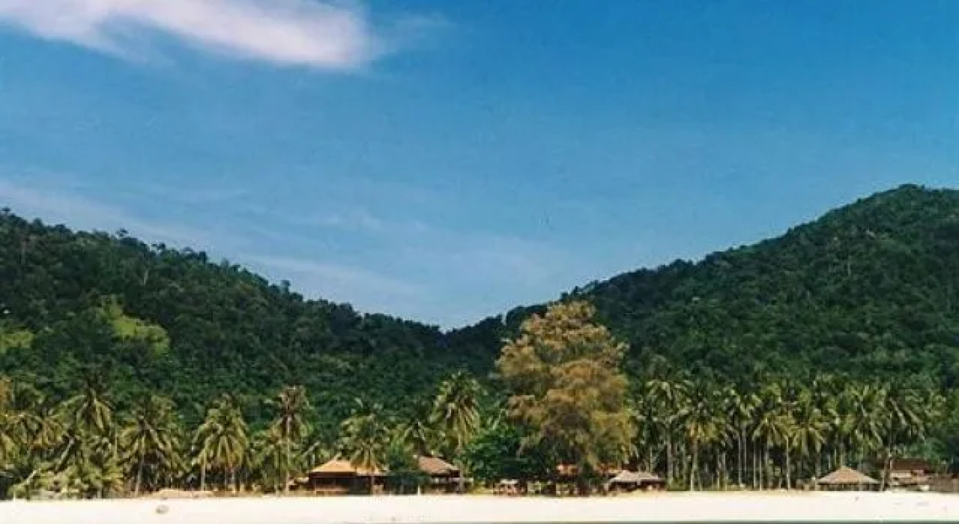 Dcoconut Island Resort