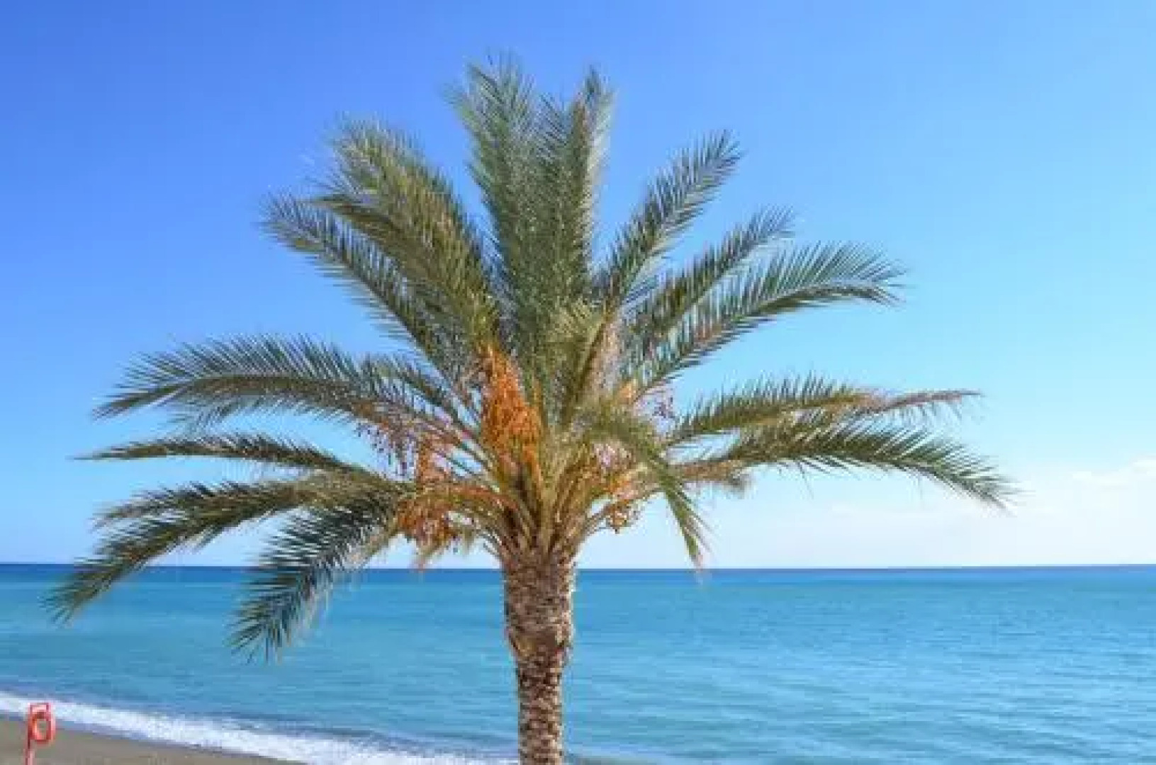 Myrtos Harmony Apartments