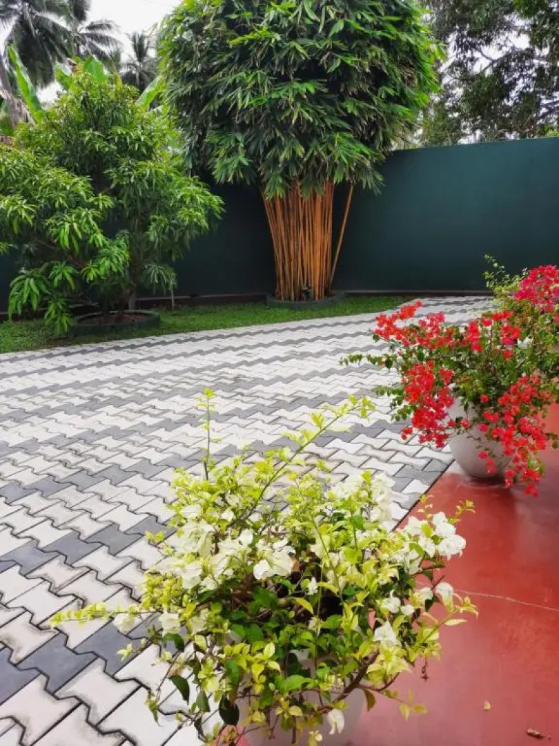 Paradise Ocean Homestay