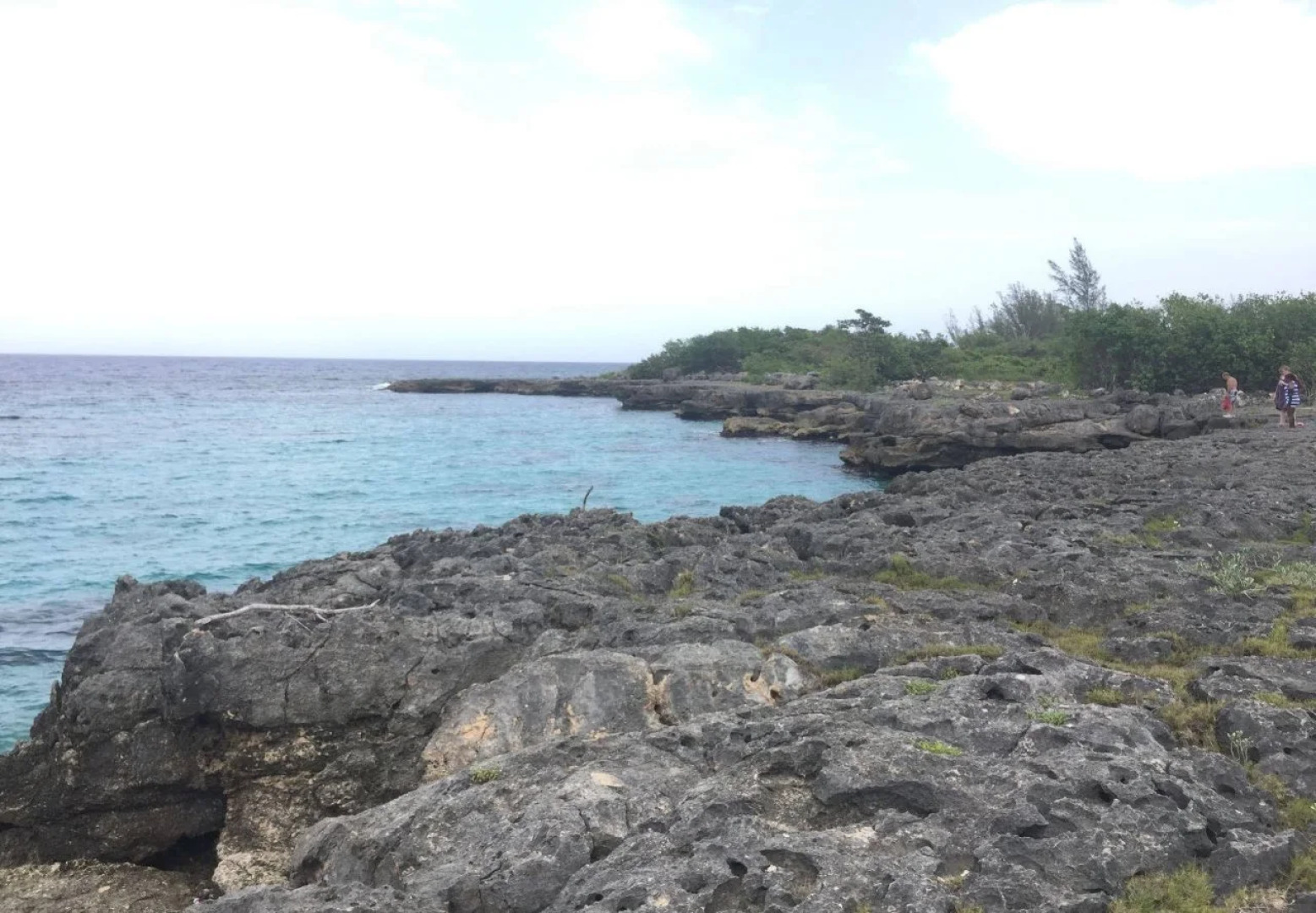Hotbox Bud & Breakfast