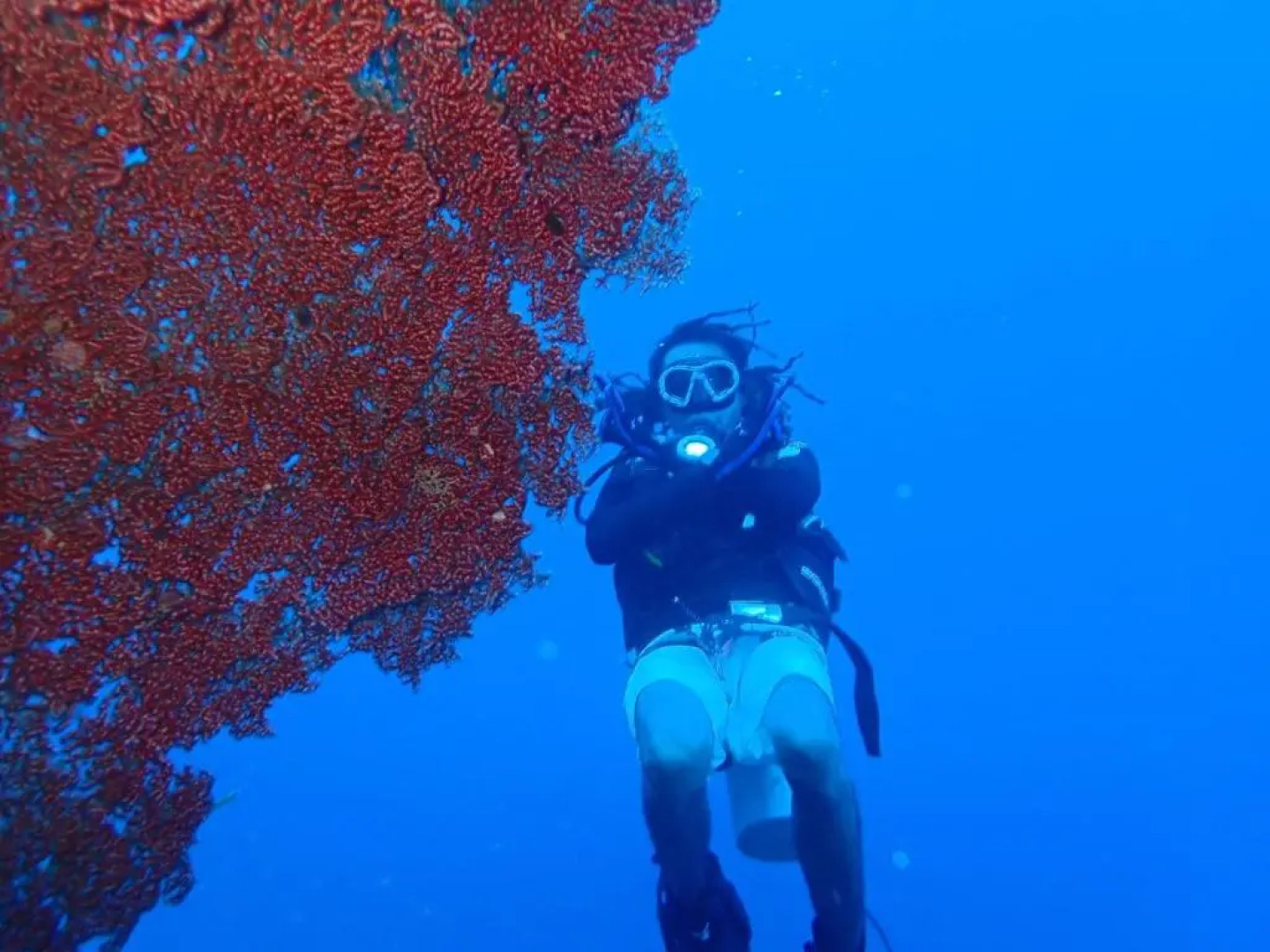 Guest house dorm Floressa