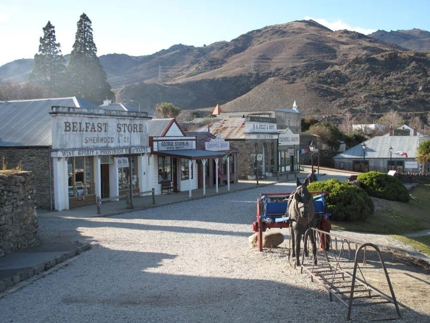 Vines on Bannockburn