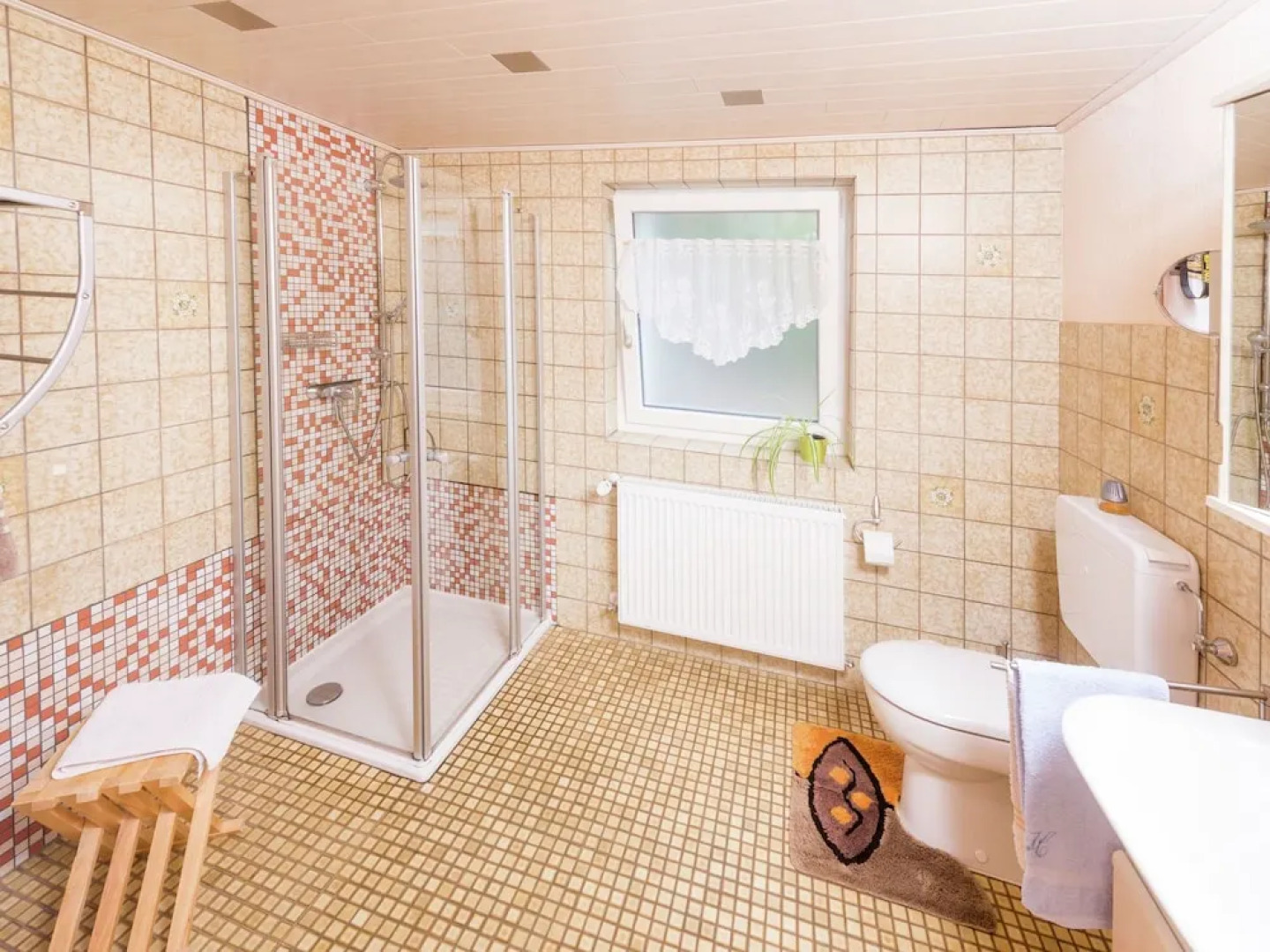 Spacious Apartment in Wittenschwand near Ski Area